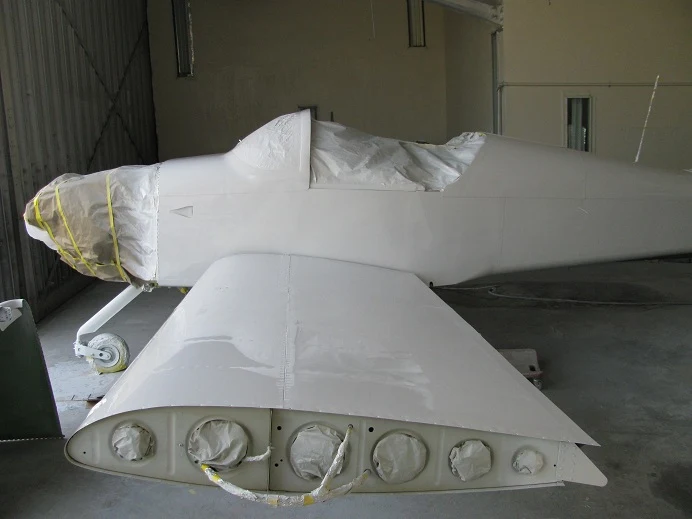 Primer and base color · photo 1